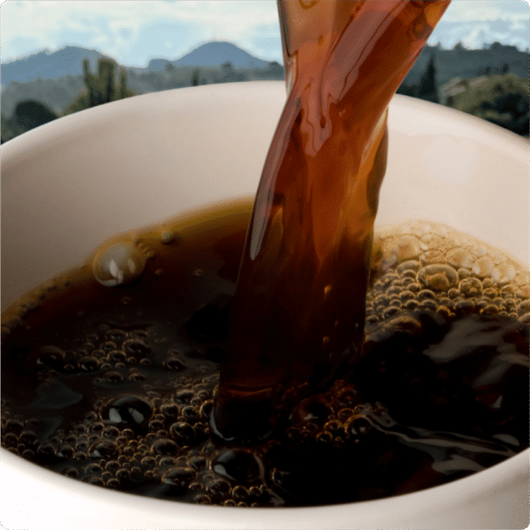 O que é acidez do café? E por que ela é tão importante?