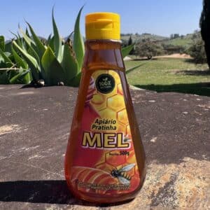 Mel Gourmet Artesanal 500g | 100% Puro